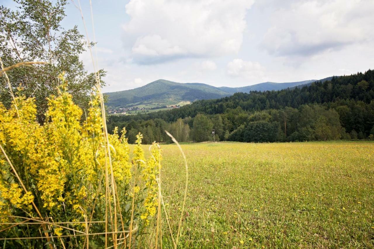 Вілла Ostoja Жикі Екстер'єр фото