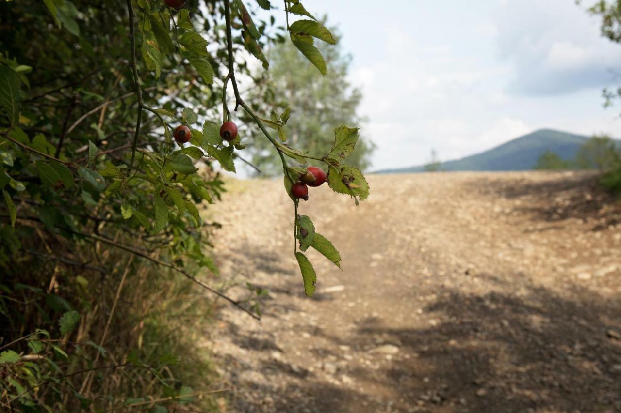 Вілла Ostoja Жикі Екстер'єр фото